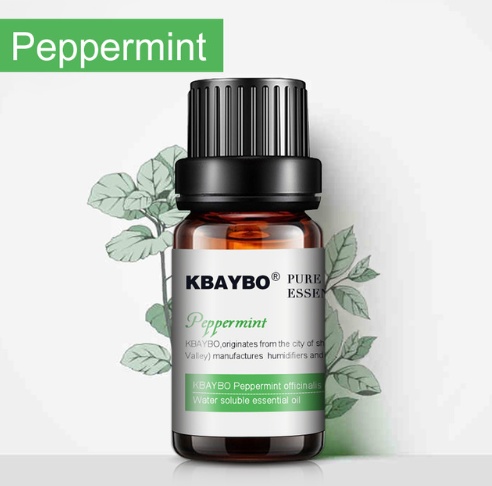 Aromatherapy - الصورة 6